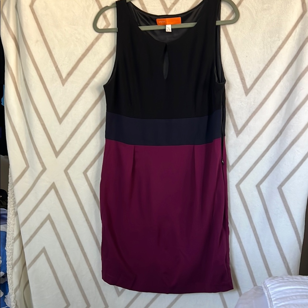 Cynthia Steffe Black, and Purple Colorblock Dress